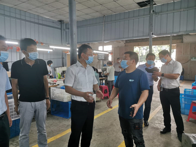 王建華在浮屠調研脫貧攻堅、鄉村振興和巡視反饋問題整改工作