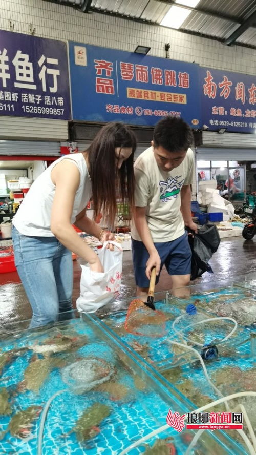 蔬菜市場零售均價環(huán)比下降，新鮮水果與梭子蟹齊上市，品味秋日第一口鮮