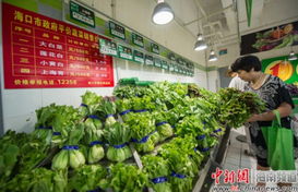 ?？陂_售4種平價菜，設立76個供應點保障市民新鮮蔬菜零售